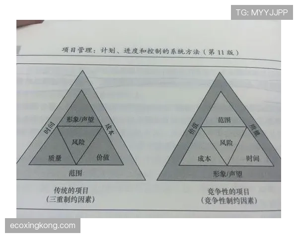 沃特金斯职业发展的上限受哪些因素制约？